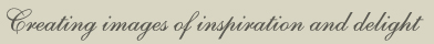 Creating images of inspiration and delight